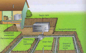 Septic system inspection in progress